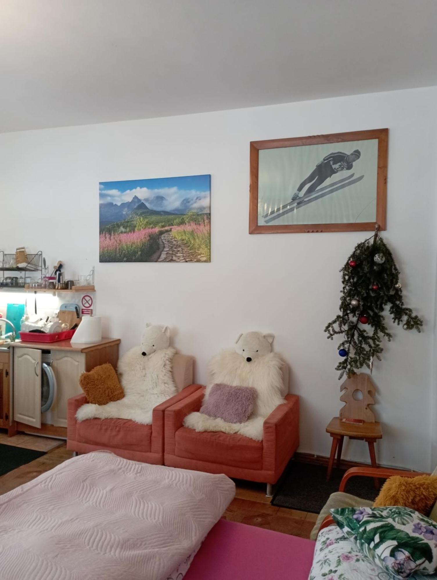 זקופאנה A3Apartament 2 Pokojowy Aneks Kuchenny 2 Lazienki Wlasne Na Korytarzu Villa Jumper Pobyt Na Termach Dla 2 Osob Gratis מראה חיצוני תמונה