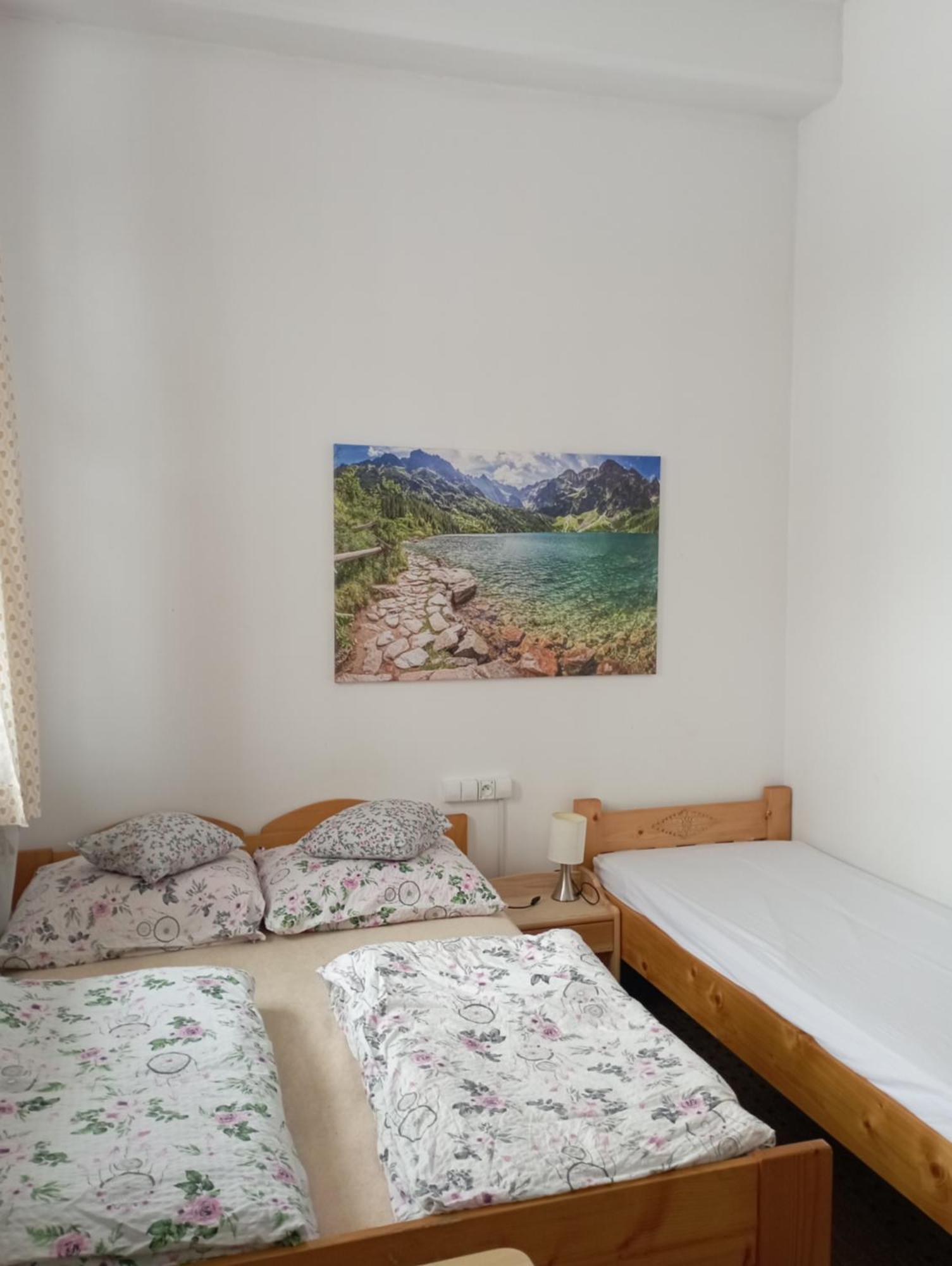 זקופאנה A3Apartament 2 Pokojowy Aneks Kuchenny 2 Lazienki Wlasne Na Korytarzu Villa Jumper Pobyt Na Termach Dla 2 Osob Gratis חדר תמונה